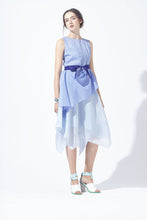 Load image into Gallery viewer, Pattern Mesh Drapery Silk Dress
