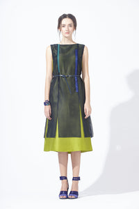 Meshy Silk Dress with Belt