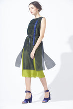 Load image into Gallery viewer, Meshy Silk Dress with Belt
