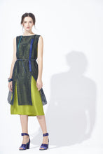 Load image into Gallery viewer, Meshy Silk Dress with Belt
